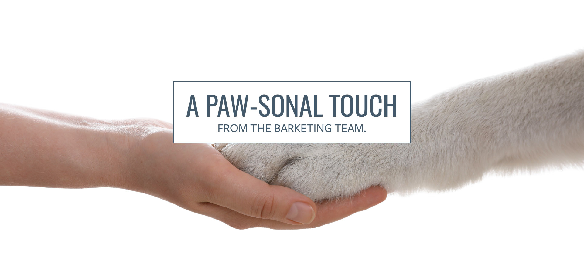 Barketing Team | Pixa Direct