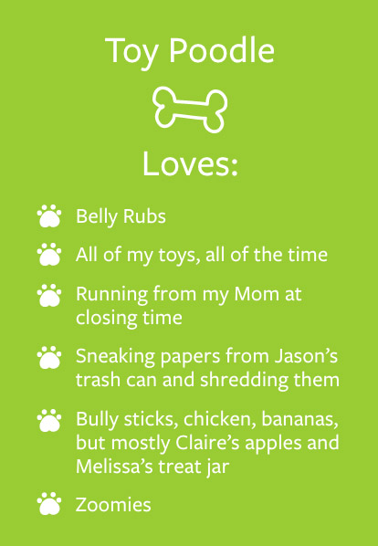 Colby - Barketing Team | Pixa Direct