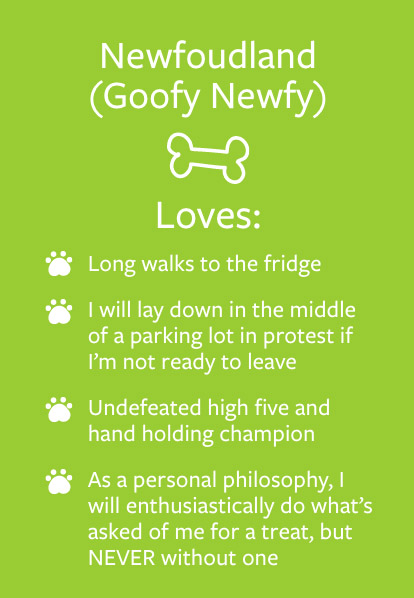 Fallon - Barketing Team | Pixa Direct
