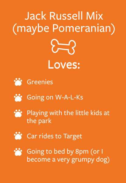 Jax - Barketing Team | Pixa Direct
