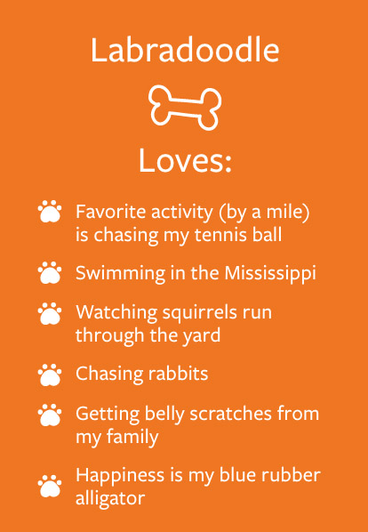 Ruby - Barketing Team | Pixa Direct